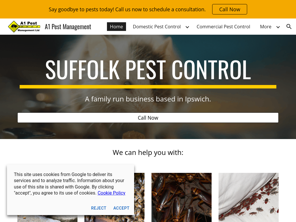 Screenshot of A1 Pest Management